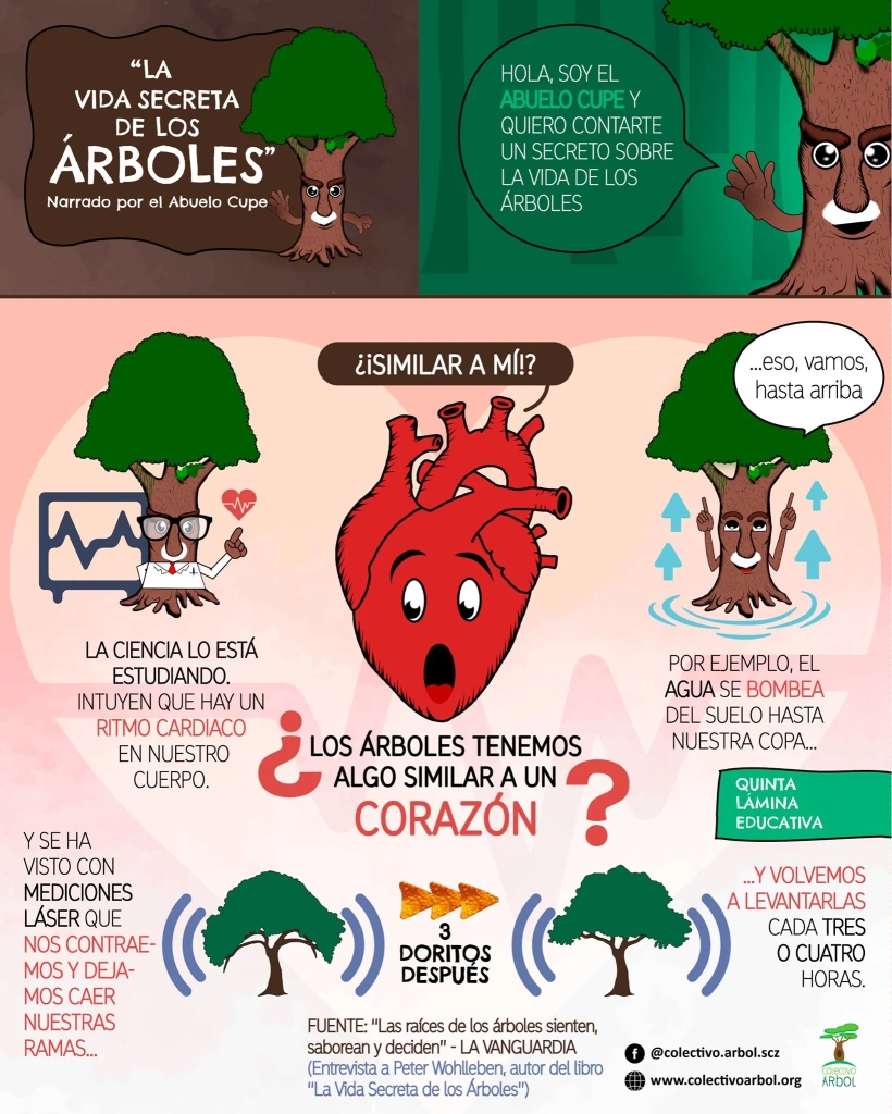 Infografía: ¿Los árboles tenemos corazón?- La vida secreta de los árboles